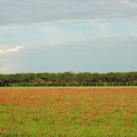 Appartamenti Mirella Bibione Extérieur photo